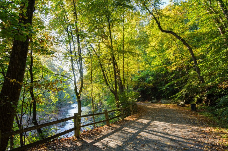 Picture of: Peaceful Hikes Around Philadelphia: Where to Go to Clear Your Head